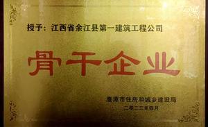 企业荣誉